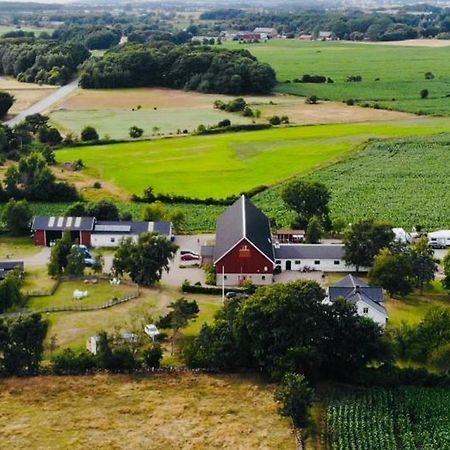Roedlix Vandrarhem & Camping Tvååker Exterior foto